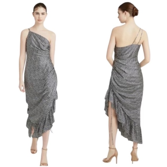 cinq a sept Dresses & Skirts - Cinq A Sept Silk Christel Ruched One Shoulder Zebra Print Dress Size 2